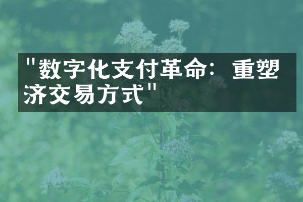 "数字化支付革命：重塑经济交易方式"