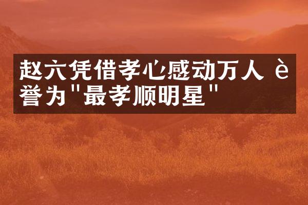 赵六凭借孝心感动万人 被誉为"最孝顺明星"