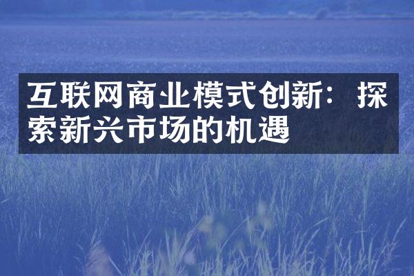 互联网商业模式创新：探索新兴市场的机遇