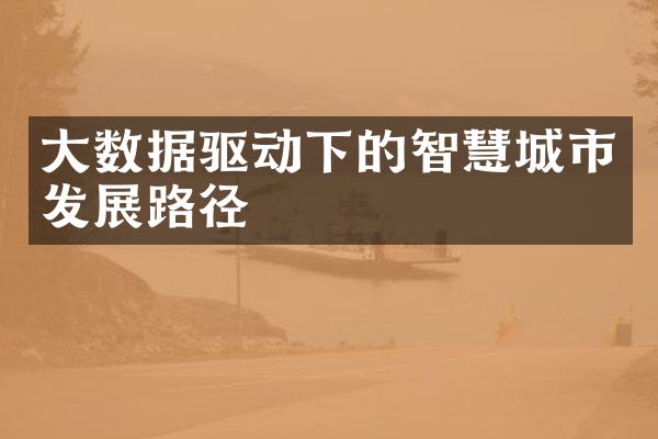 大数据驱动下的智慧城市发展路径