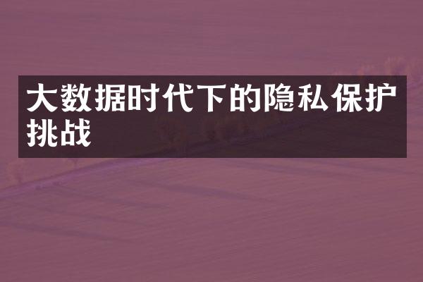 大数据时代下的隐私保护挑战