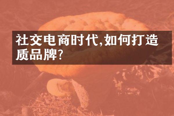 社交电商时代,如何打造优质品牌?