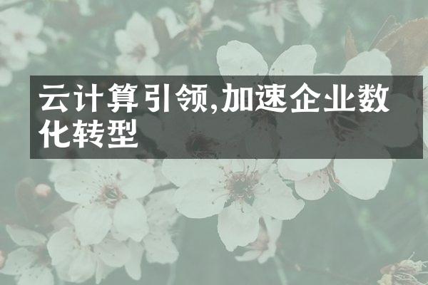 云计算引领,加速企业数字化转型