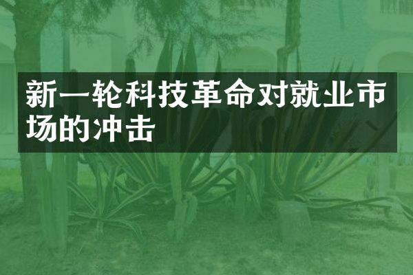 新一轮科技革命对就业市场的冲击