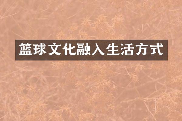 篮球文化融入生活方式