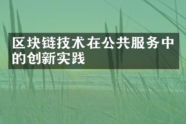 区块链技术在公共服务中的创新实践