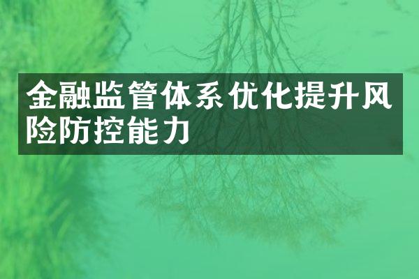 金融监管体系优化提升风险防控能力