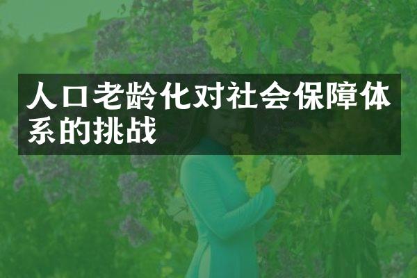 人口老龄化对社会保障体系的挑战