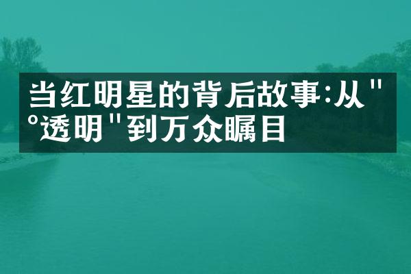 当红明星的背后故事:从"小透明"到万众瞩目