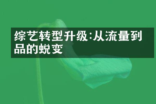 综艺转型升级:从流量到精品的蜕变