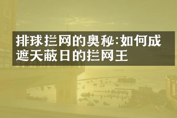 排球拦网的奥秘:如何成为遮天蔽日的拦网王