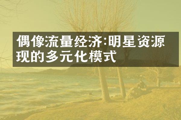 偶像流量经济:明星资源变现的多元化模式