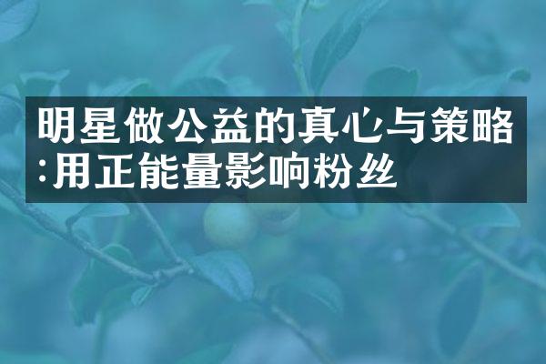 明星做公益的真心与策略:用正能量影响粉丝