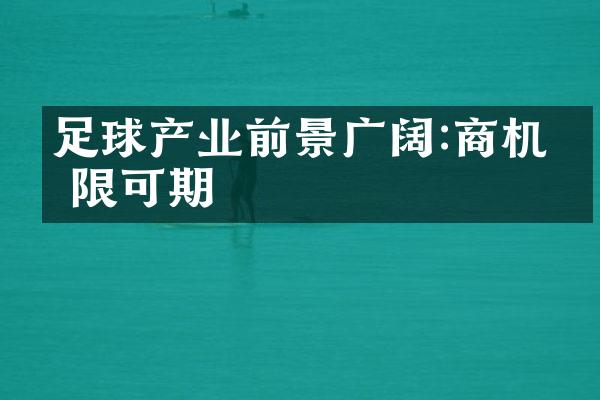 足球产业前景广阔:商机无限可期