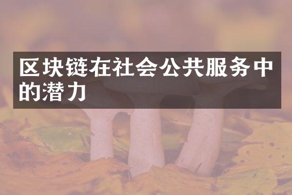 区块链在社会公共服务中的潜力