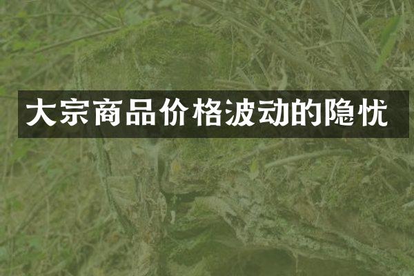 大宗商品价格波动的隐忧