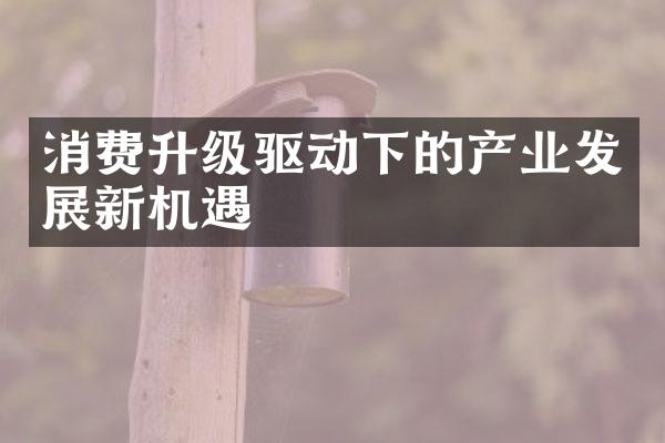 消费升级驱动下的产业发展新机遇