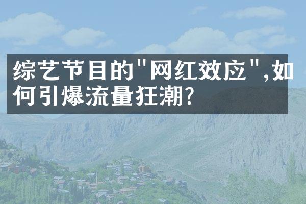 综艺节目的"网红效应",如何引爆流量狂潮?