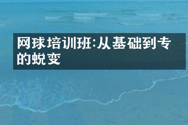 网球培训班:从基础到专业的蜕变