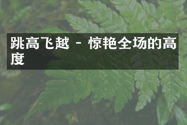 跳高飞越 - 惊艳全场的高度