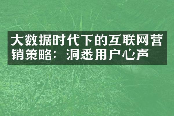 大数据时代下的互联网营销策略：洞悉用户心声