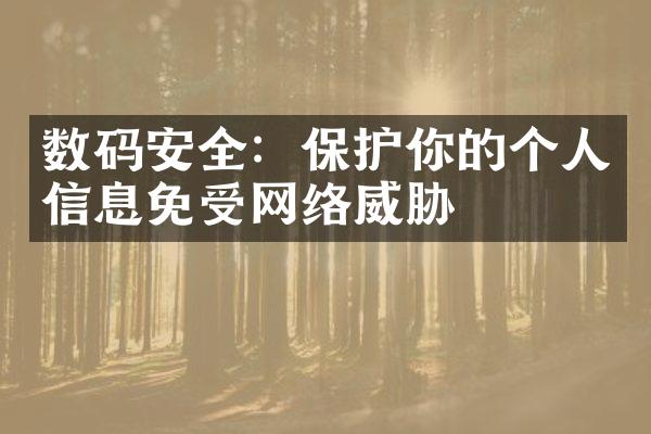 数码安全：保护你的个人信息免受网络威胁