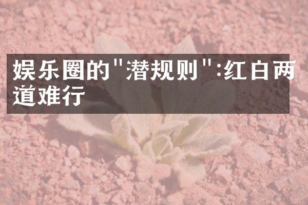 娱乐圈的"潜规则":红白两道难行