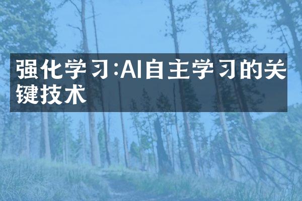 强化学习:AI自主学习的关键技术