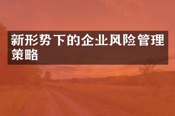 新形势下的企业风险管理策略