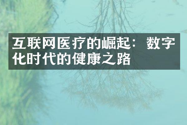 互联网医疗的崛起：数字化时代的健康之路