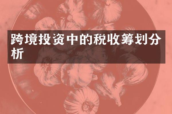 跨境投资中的税收筹划分析