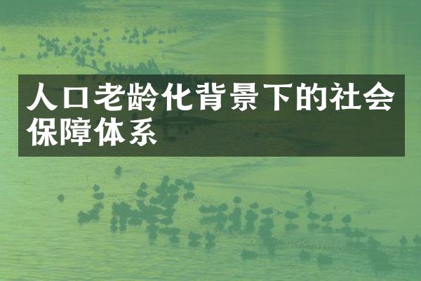 人口老龄化背景下的社会保障体系