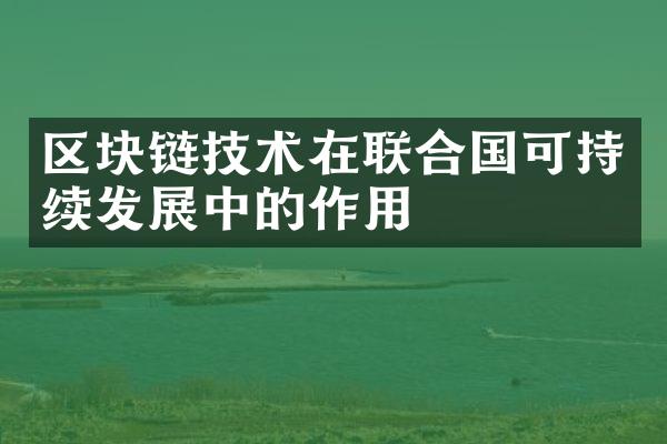 区块链技术在联合国可持续发展中的作用