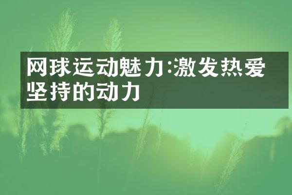 网球运动魅力:激发热爱与坚持的动力