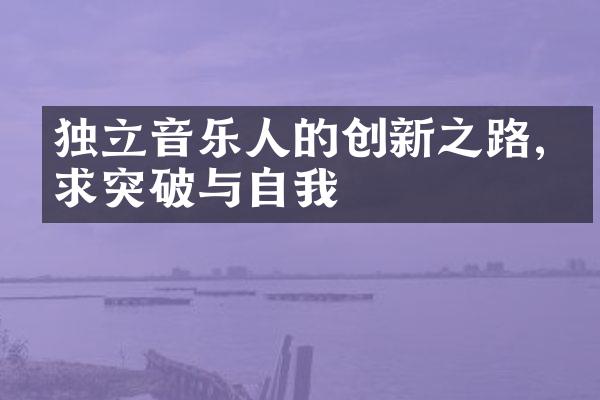 独立音乐人的创新之路,寻求突破与自我