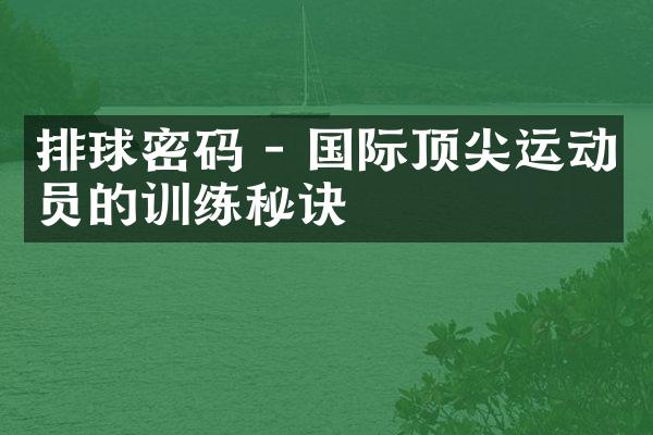 排球密码 - 国际顶尖运动员的训练秘诀