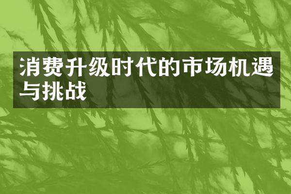 消费升级时代的市场机遇与挑战