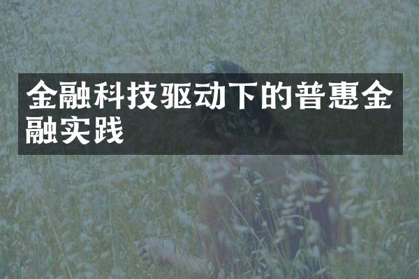 金融科技驱动下的普惠金融实践