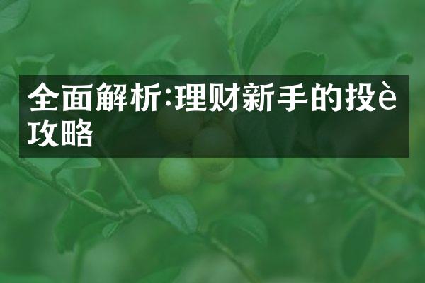 全面解析:理财新手的投资攻略