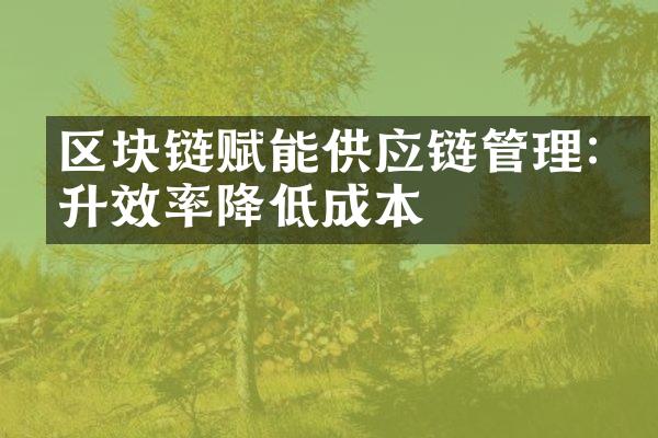 区块链赋能供应链管理:提升效率降低成本