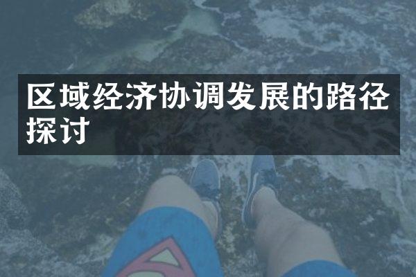 区域经济协调发展的路径探讨