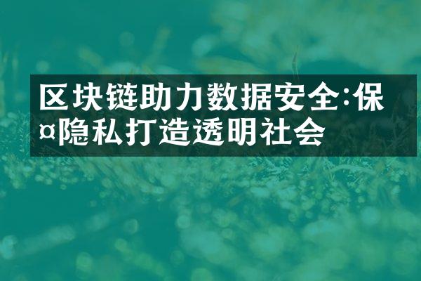 区块链助力数据安全:保护隐私打造透明社会