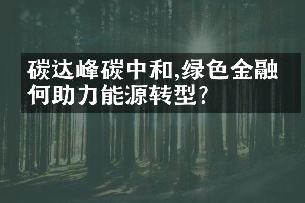 碳达峰碳中和,绿色金融如何助力能源转型?