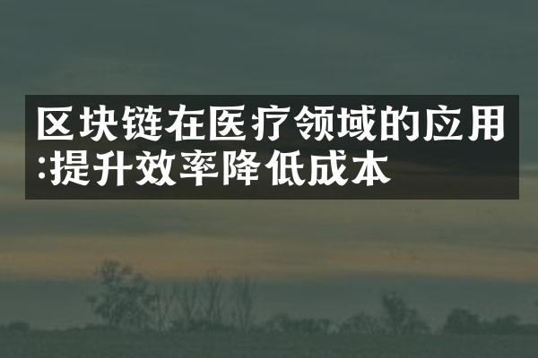 区块链在医疗领域的应用:提升效率降低成本