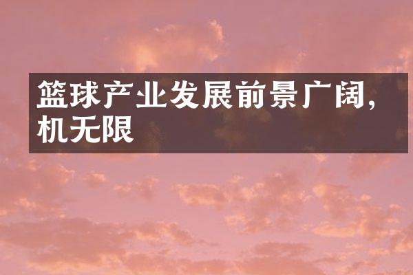 篮球产业发展前景广阔,商机无限