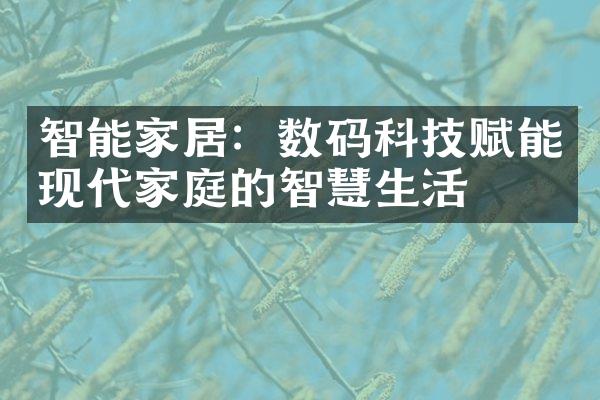 智能家居：数码科技赋能现代家庭的智慧生活