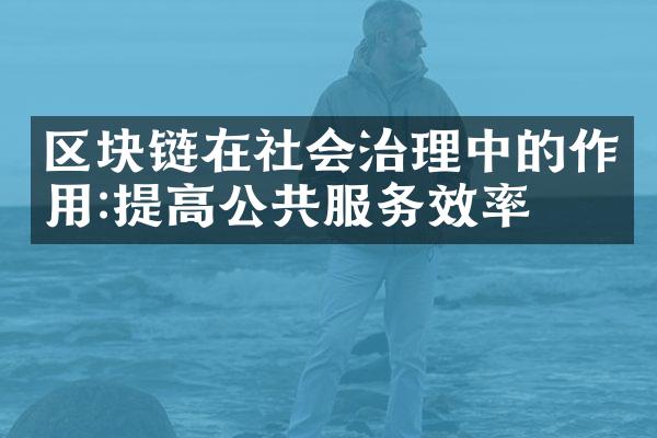 区块链在社会治理中的作用:提高公共服务效率