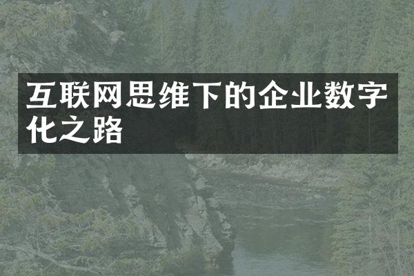 互联网思维下的企业数字化之路