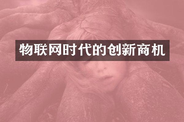 物联网时代的创新商机