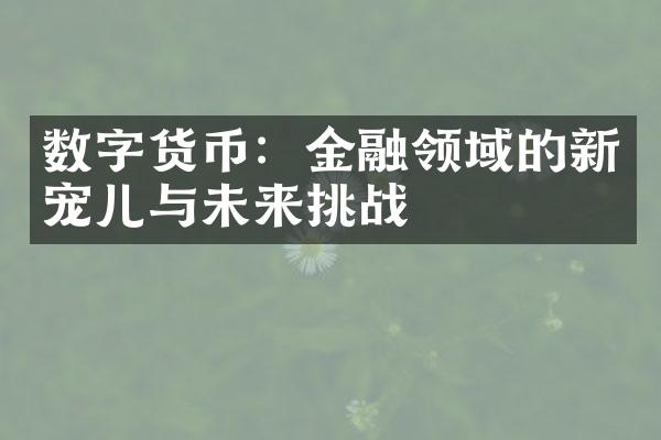 数字货币：金融领域的新宠儿与未来挑战